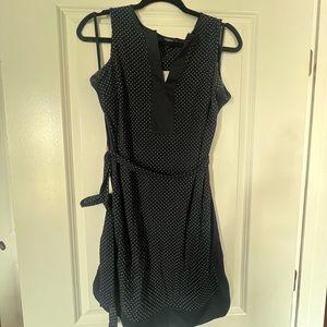 Ann Taylor Sleeveless Polka Dot Dress